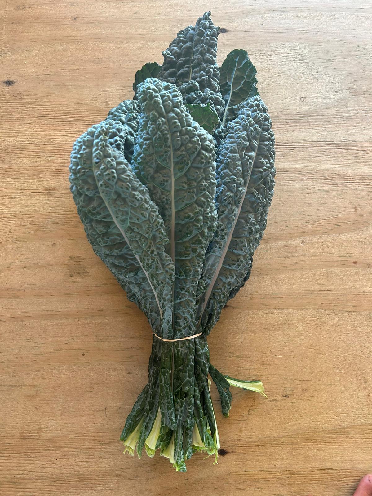 Fresh bunch of lacinato kale with dark green, textured leaves, tied together with a rubber band, resting on a wooden surface. Ideal for healthy recipes and salads.